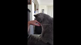 Scooter gives his human an extra long love bunt.