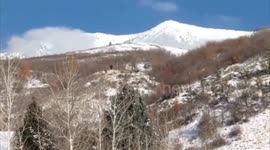 Hunters claim to have spotted Bigfoot in the foothills of Utah