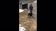 temp