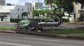 Homeless in hawaii, homeless living on intersections in hawaii