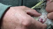 temp