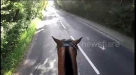 Cyclist lands himself hefty fine after high-speed collision while undertaking horse