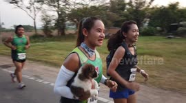 Puppy love: Marathon runner carries dog 19 miles after finding it lost on route