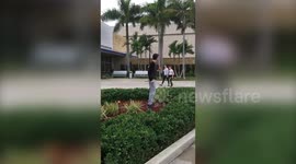 Society Has Failed! Teen Protests Cruelty To Oringes