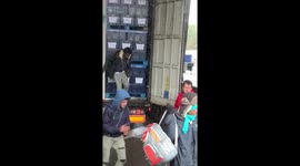 Eight 'migrants' spill out of truck on M25 in Essex