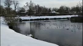 They enjoy dancing on the thin ice