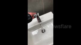 Tap makes bizarre screaming noise when turned on