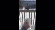 temp