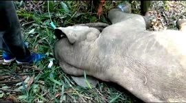 A WILD WILD CHILDREN IN THE CITIZENS ARE SUCCESSFULLY EVACUATED