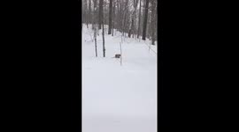 snow day #ShareYourWeather https://t.co/EV9CwCKjcb