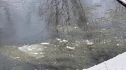 temp