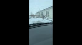 Kid takes out dog or dog takes out kid