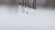 temp