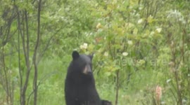 She watching me watching them....