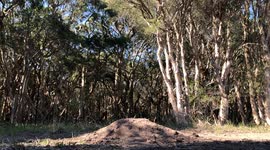 Slow mo, Remote control car jump