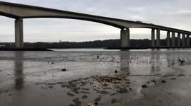 Mystery as man discovers over 200 dead crabs washed up on shore