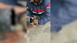 Indian man cuts free kitten stuck in water pipe for two days