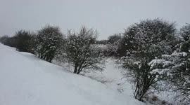 Snowing in the Wiltshire countryside