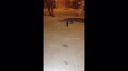 temp
