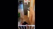 temp