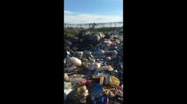 Medio ambiente / enviorment