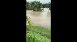 Aussie flood victim spots 7-foot crocodile on her front lawn