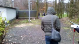 Möpse Treffen in Deutschland