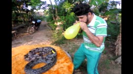 Snakes explode balloons held in man's mouth