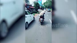 Dog's Day Out: Pup rides pillion on owner's moped in India
