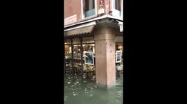 Venice, completely flooded (October 2018):