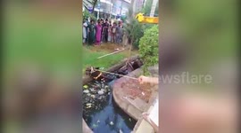 Insensitive camel rescue in Pakistan triggers netizens' wrath