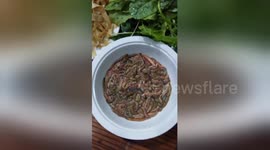 Newsflare Edit - Special dish made from sandworm in Viet Nam