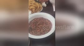 Newsflare Edit - Special dish made from sandworm