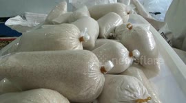 the tradition of raspy sugar