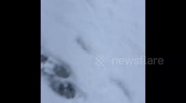 Attacking bin men and having snowball fight with binmen