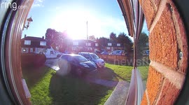 Bird flying into video doorbell