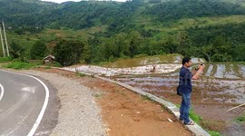 traditionally plowing fields using buffalo