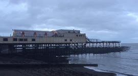Starlings of Aberystwyth
