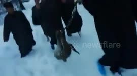 Snow leopard caught by locals after straying near village in north India