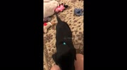 temp