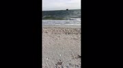 temp