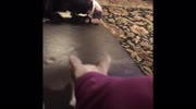 temp
