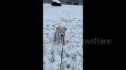 temp