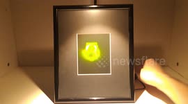 Framed Microscope Hologram