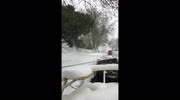 temp