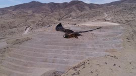 Drone surprised by photobombing hawk has to retreat and land