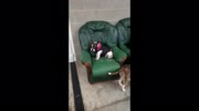 temp