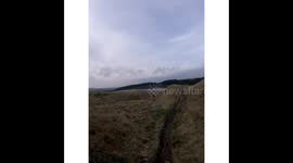 New Go Pro Gimbal test