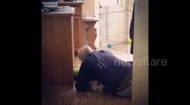 Parents who banned family dogs for years now obsessed with their 'furry grandchildren'