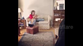 Parents who banned family dogs for years now obsessed with their 'furry grandchildren'